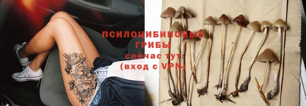 прущая мука Арсеньев