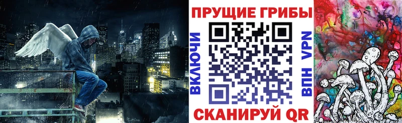 Галлюциногенные грибы Psilocybe  где можно купить   Крым 