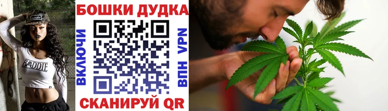 Бошки Шишки гибрид Крым